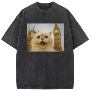 London Big Ben Cat Washed T-shirt