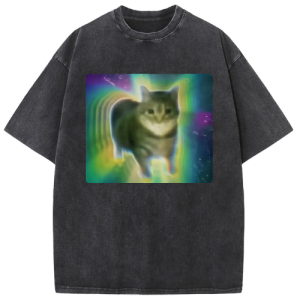 Galaxy Cat Washed T-shirt